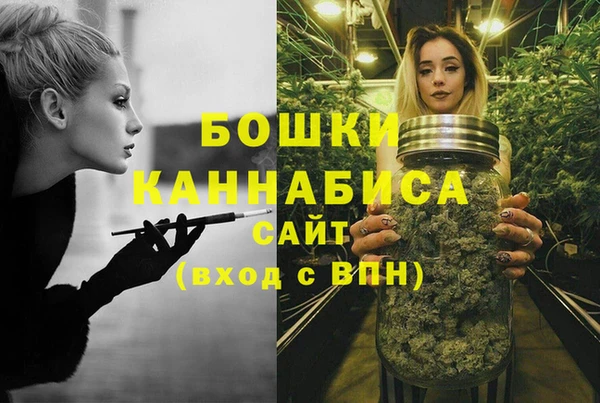 дурь Дмитровск