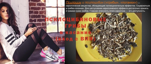амф Дмитров
