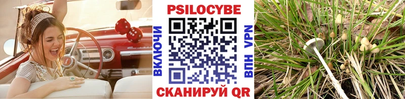 Псилоцибиновые грибы Psilocybine cubensis  Купить закладки  Дубна 